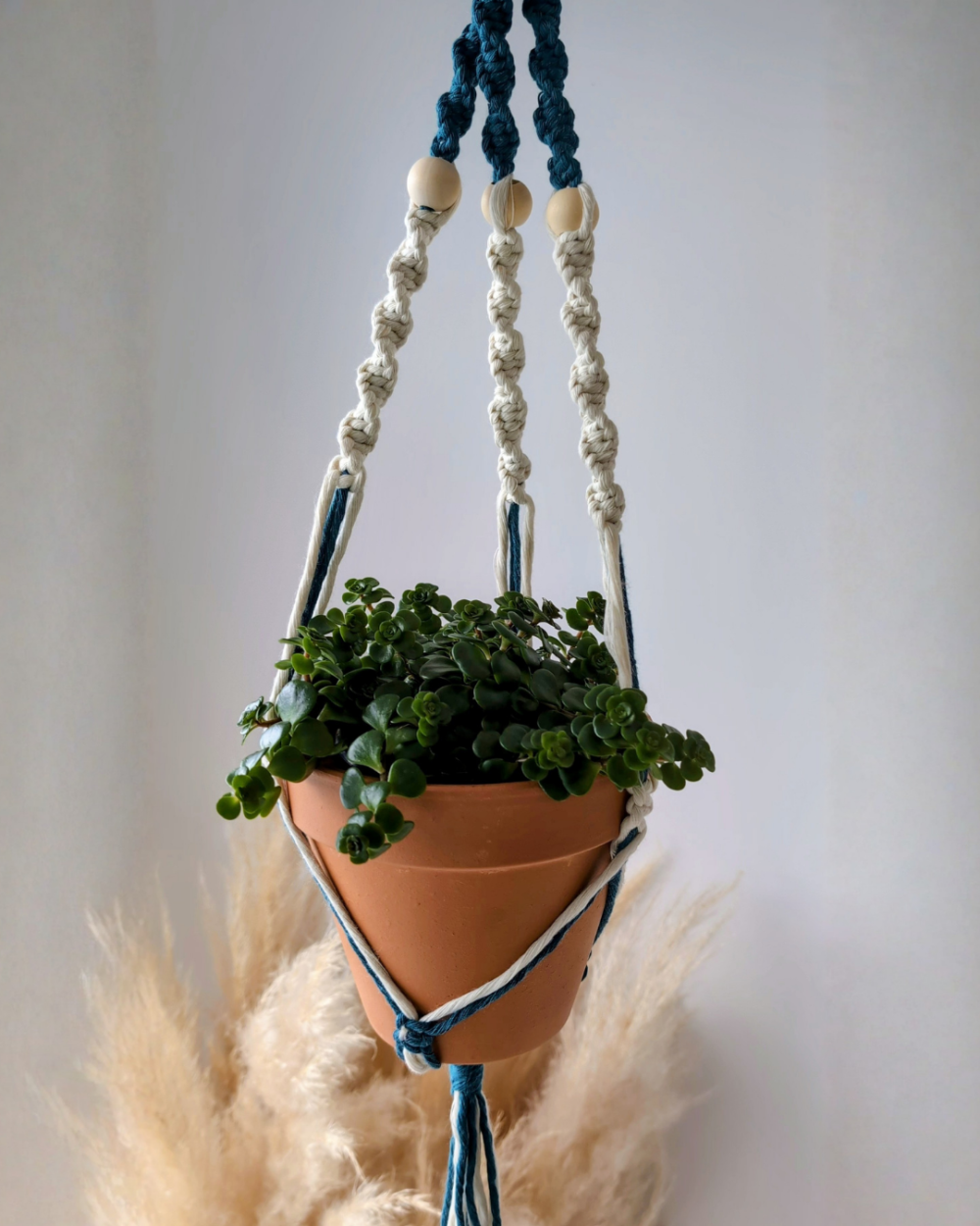 Suspension plante macramé